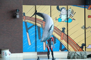 suizokkukann050717 (3).jpg